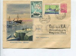 407858 USSR 1959 Antarctica shore true penguins Soviet Antarctic Expedition 