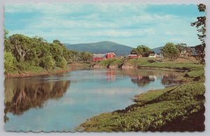 State View~Picturesque Vermont Scene~Farm In Connecticut~Vintage Postcard