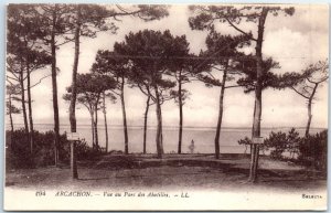 M-77192 View of the Parc des Abatilles Arcachon France