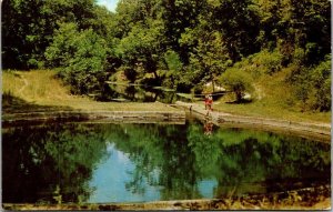 Arkansas Carroll County Blue Spring