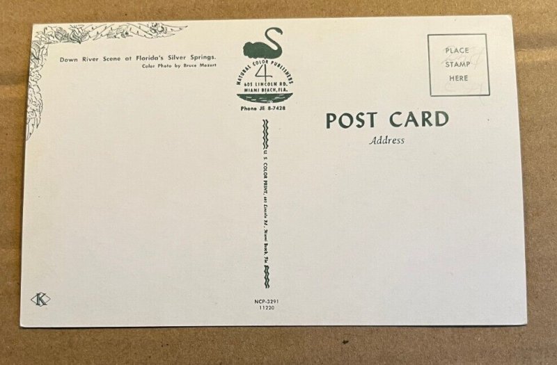VINTAGE UNUSED POSTCARD - BOATS DOWN RIVER, SILVER SPRINGS, FLORIDA
