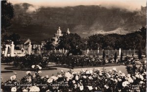 South Africa Roses Municipal Gardens Cape Town RPPC C038