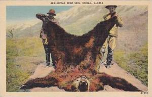 Alaska Kodiak Bear Skin