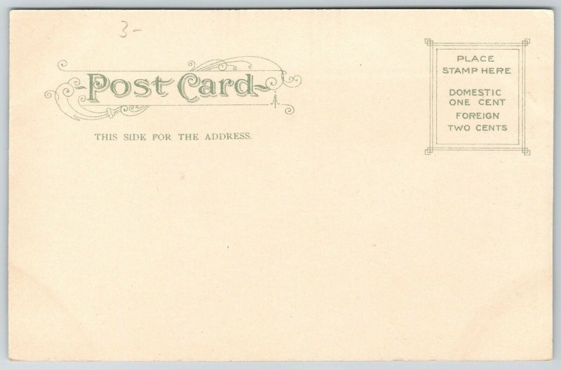 Norfolk Virginia~Crowd Gathers @ Waterfront @ Pine Beach Pavilion~c1905 Postcard