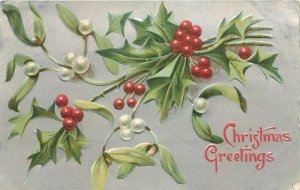 Early embossed greetings postcard Christmas Greetings Flower