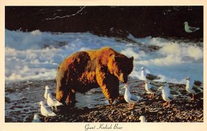 Giant Kodiak Bear Alaska, USA Bear Unused light internal crease