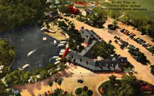 Florida Silver Springs Aerial View Curteich