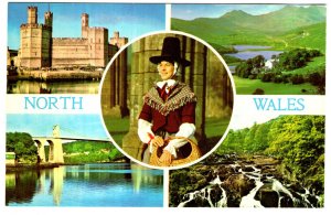 Castle, Bridge, Falls, Lady, Snowdon, North Wales