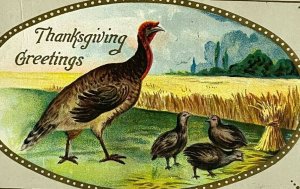 Vintage Postcard Thanksgiving Turkey w/ Babies Grain Field c. 1910