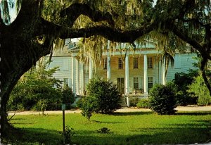 South Carolina Hampton Plantation Between Georgetown and Charleston 1985