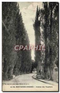 Postcard Old Montgeron Crosnes Avenue Peupllers