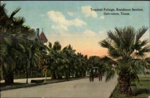 Galveston TX c1910 Postcard EXC COND Residence Section