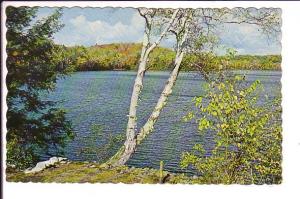 Greetings from, Temagami, Ontario, Canada, Used 1965