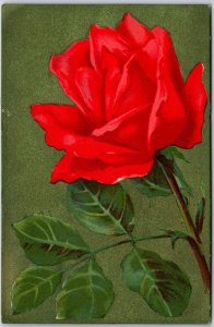 1910's Red Rose Flower Large Print Grestings Wishes Card Posted Postcard