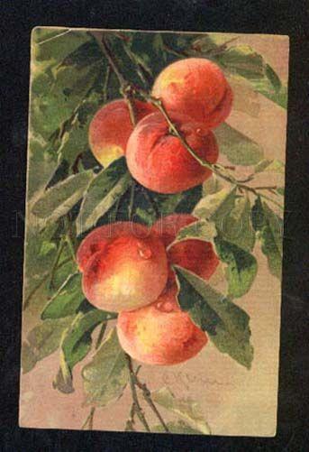 028443 PEACHES on Tree w/ Dew by C. KLEIN vintage GOM 1614 PC