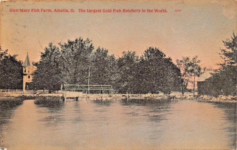 AMELIA OH~GLEN MARY FISH FARM~LARGEST COLD FISH HATCHERY IN WORLD 1909 POSTCARD