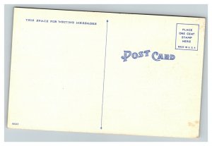 Vintage Comic Risqué Linen Postcard Walt Munson UNPOSTED