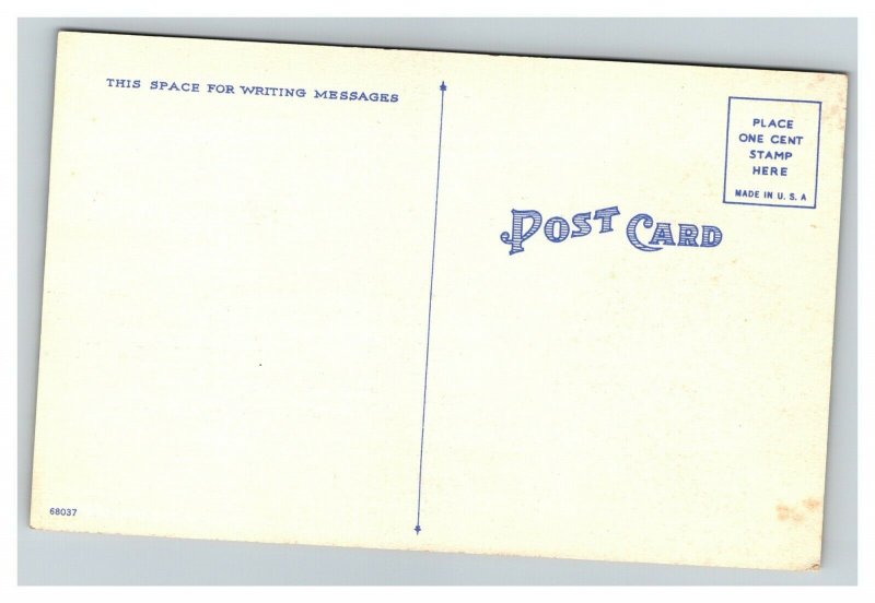 Vintage Comic Risqué Linen Postcard Walt Munson UNPOSTED