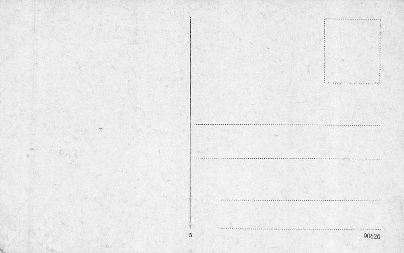 Schweidnitz Germany now Świdnica Poland~Friedenskirche Postcard