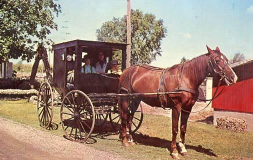 IL - Arcola, Rokome, Amish Buggy