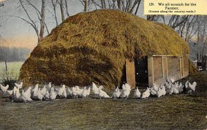 We all scratch for the Farmer Chicken Writing on back 