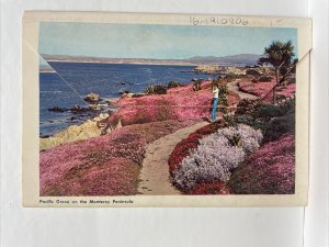 California Highway 1 Postcard Booklet - 12 Photos