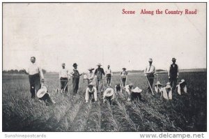 Farming Scene Along The Country Road 1913