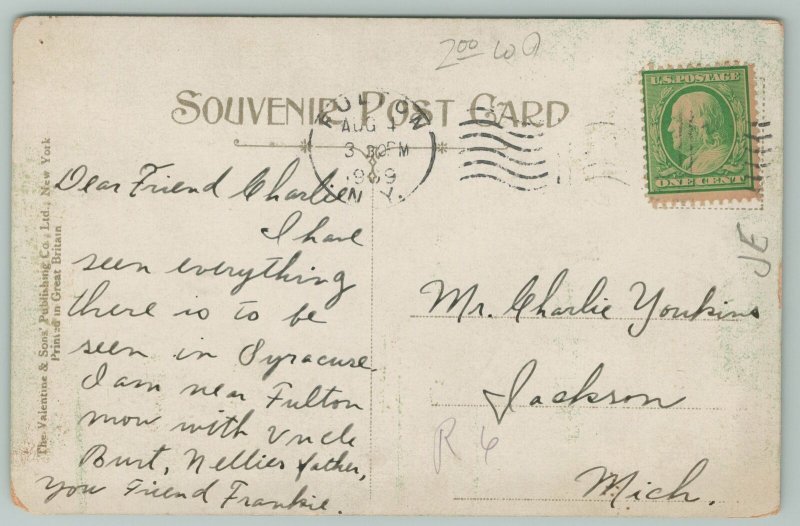 Syracuse New York~Carnegie Library~c1910 Postcard