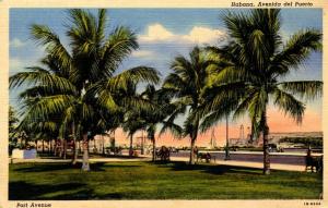 HAVANA CUBA, Avenida del Puerto, 1948 Vintage Postcard Z0379