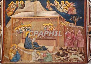 Modern Postcard Assisi basilica inferiore di Giotto francesco s birth of christ