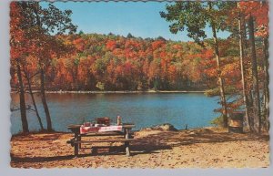 Fall Colours, Greetings From Mount Brydges, Ontario, Vintage 1967 Postcard