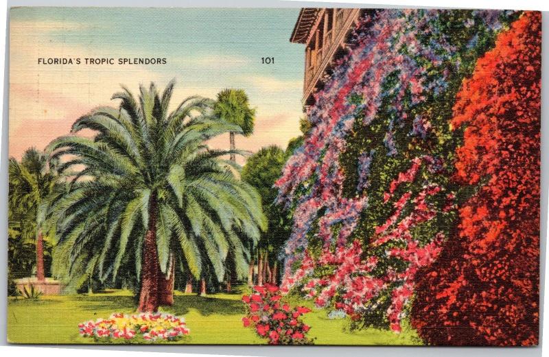 Florida's Tropic Splendors - flowers, palm trees - Posted 1939 - 1c Franklin