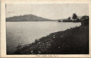Postcard New York Cuba Cuba Lake Cottage C.1910 M27