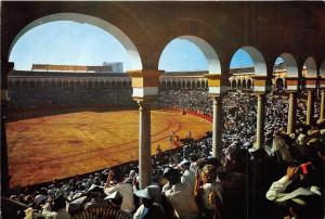 BF40400 sevilla plaza de toros  spain  corrida toros bull taureau