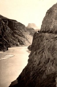 RPPC  People on Donkeys  Canyon River  Real Photo  c1930