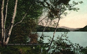 Vintage Postcard 1909 Whiteface Mountain Trough The Birches Adirondacks New York