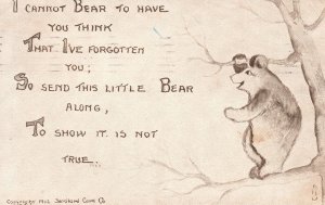 Vintage Postcard 1915 I've Not Forgotten You Send This Little Bear Greeting Card