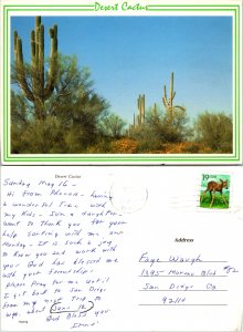 Desert Cactus (9829)