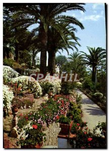 Postcard Modern Theoule Villa St Camille and flower gardens