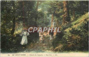 Old Postcard Le Mont Dore Way Capuchin Undergrowth