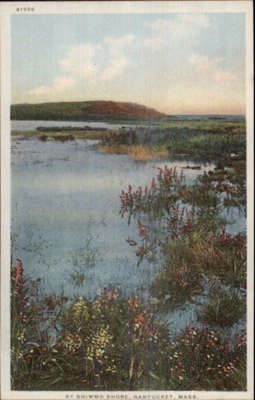 Nantucket MA Shimmo Shore c1910 Detroit Publishing Postcard