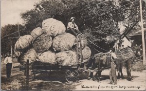 RPPC Postcard Exaggeration Postcard Kansas is the Place We Grown Large Cabbage