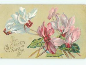 Divided-Back BEAUTIFUL FLOWERS SCENE Great Postcard AA2736