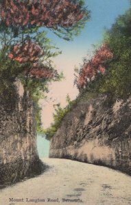 Mount Langton Road Bermuda Postcard