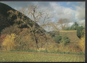 Japan Postcard - Ohara Kyoto RR1537