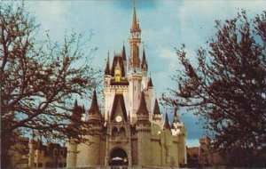 Florida Orlando Cinderella Castle Fantasyland Walt Disney World Disenyana