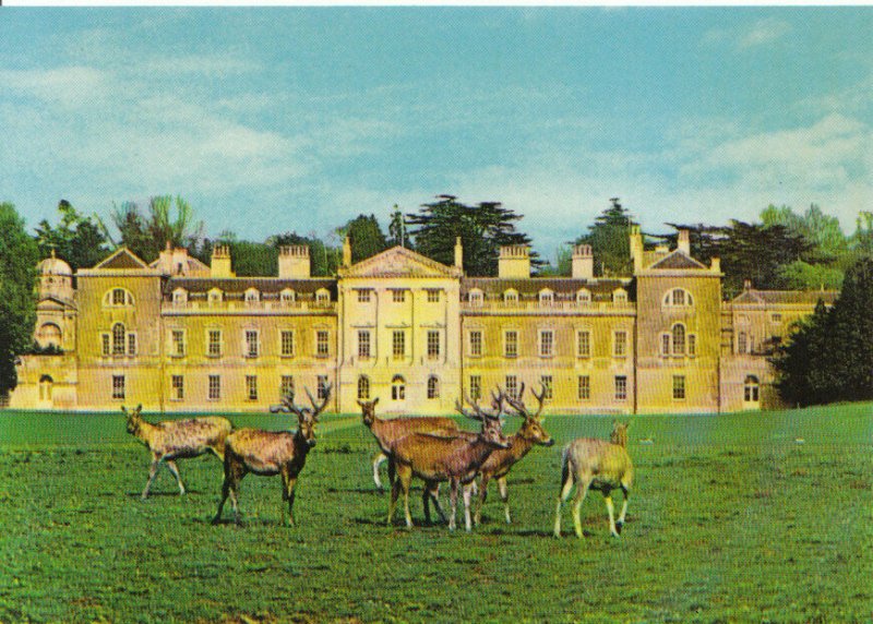 Bedfordshire Postcard - Woburn Abbey - The West Front Showing Deer - Ref 13897A