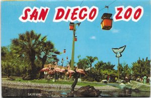 US Postcard Souvenir Folder unused.  San Diego Zoo  12 Pictures.  .
