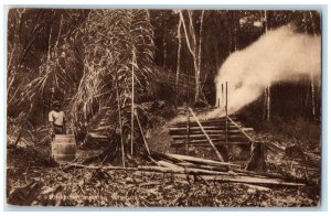 c1920's Charcoal Burning Trinidad and Tobago Unposted Antique Postcard