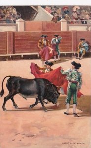 Corrida Bull Fight Caapro A La Alimon